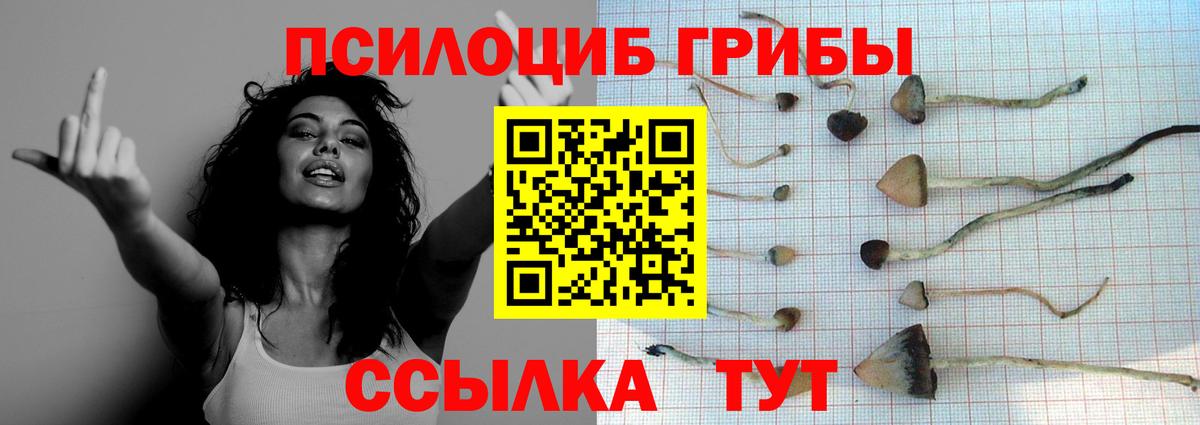 Галлюциногенные грибы Cubensis  Вход с VPN  Курчалой 